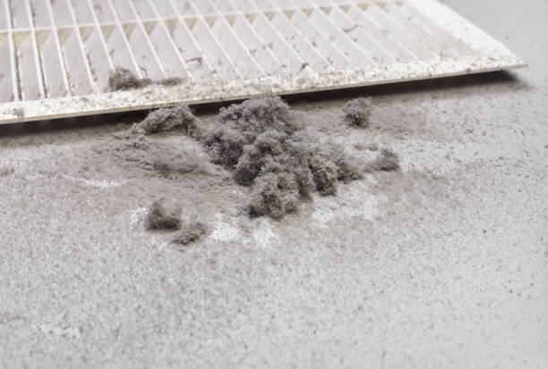Air Duct Mold Removal in Dalton, GA